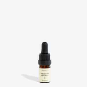 SPEARMINT Essential Oil