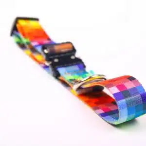 Collar With A Metal Buckle - Pixels