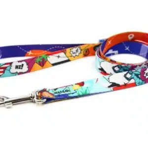 Leash – Travel