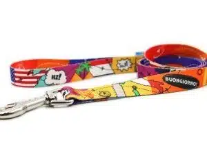 Martingale Collar – Travel